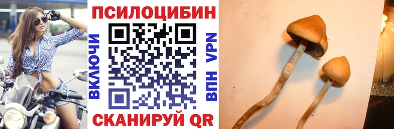 что такое наркотик Ядрин Галлюциногенные грибы Cubensis